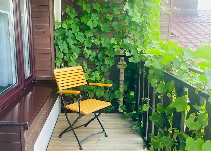 Posejdon Goscinne ホームステイ